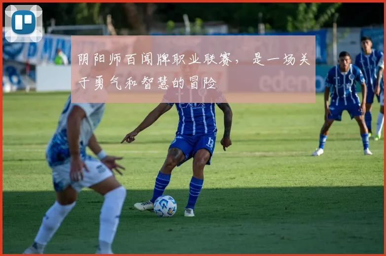 阴阳师百闻牌职业联赛,是一场关于勇气和智慧的冒险